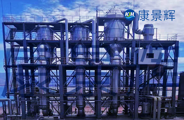 3t/h丁二酸三效蒸发器